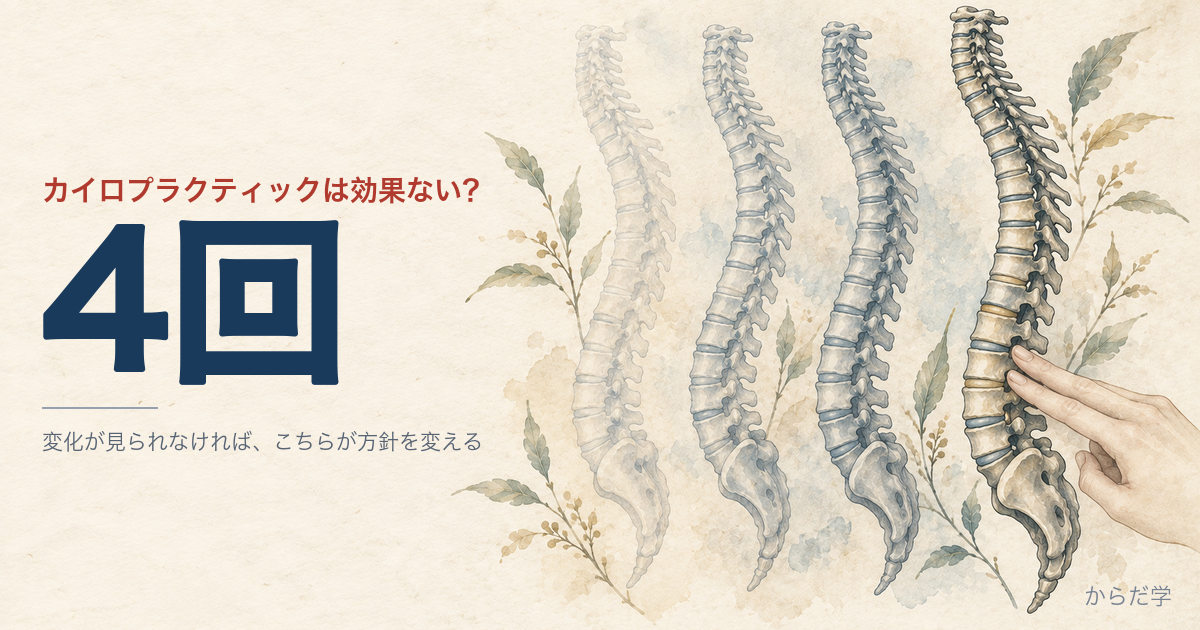 四つ重ねて描かれた背骨の解剖図と、四つ目に触れる指先の水彩イラスト