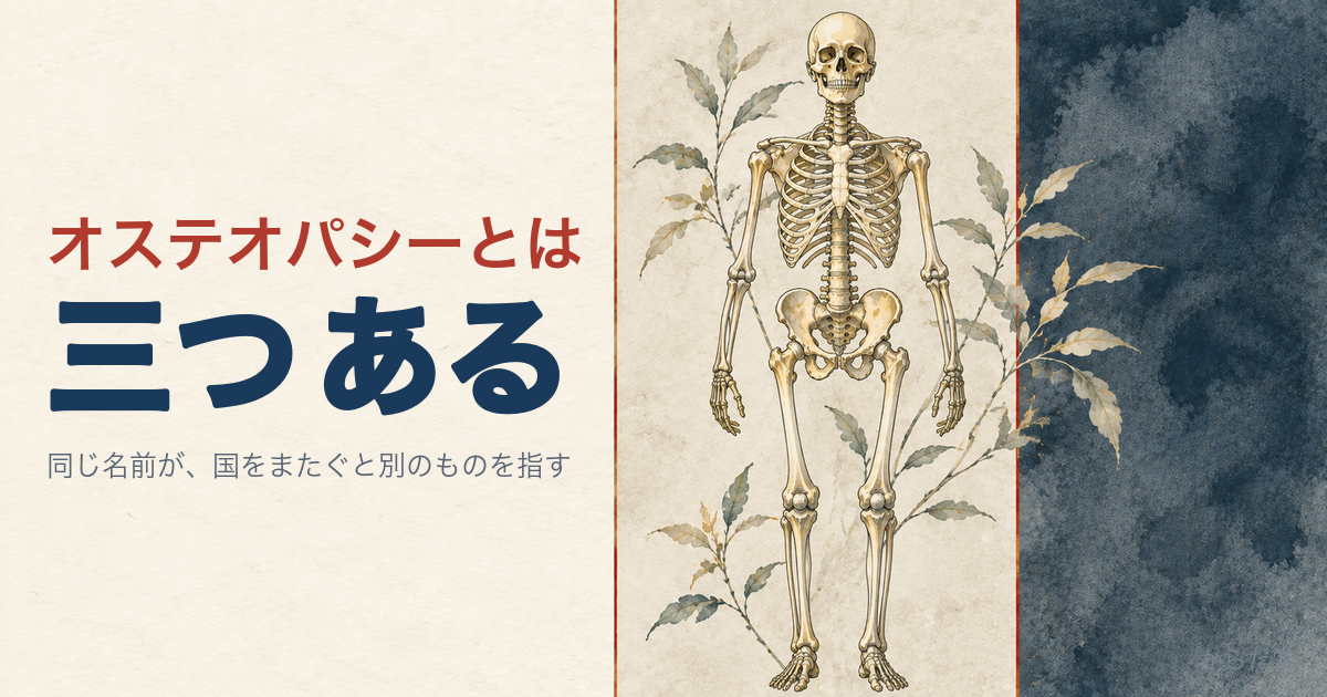 三幅対のように三つに分かれた背景と全身骨格の水彩イラスト